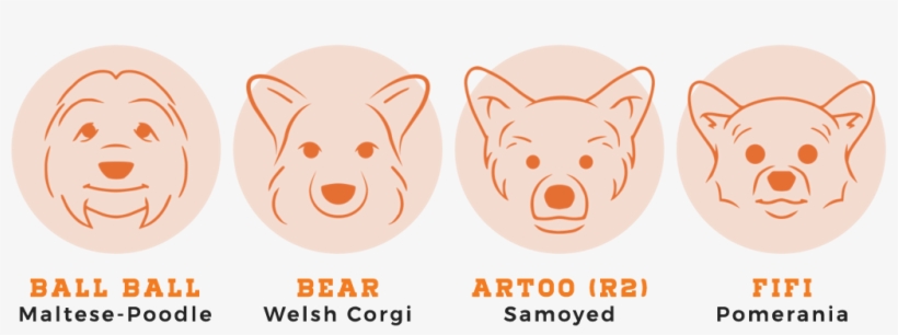 Brb Pets - Pet, transparent png #2644831