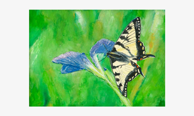 Canadian Tiger Swallowtail - Painting, transparent png #2644931