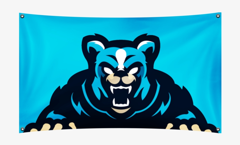 Flag, transparent png #2645218