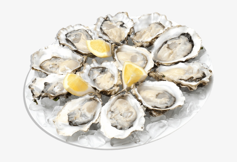 Food - Seafood - Plate Of Oysters Png, transparent png #2645548