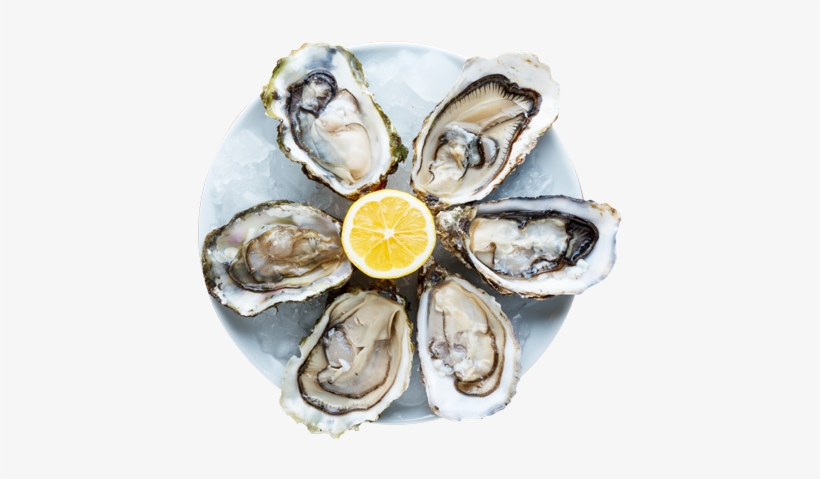 Oysters Png - Huitres En Anglais, transparent png #2645625