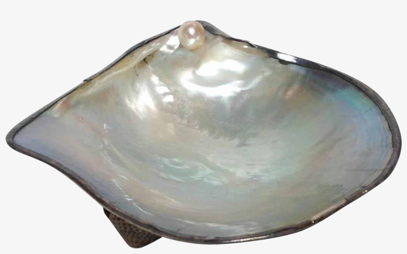 Pearl Oyster Shell Dish With Sterling Japanese From - Pearl Oyster Shells, transparent png #2646223