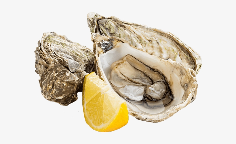 Bread, Butter, Bacon, Eggs, Sausage, Cereal And Jam) - Fresh Oysters Png, transparent png #2646448