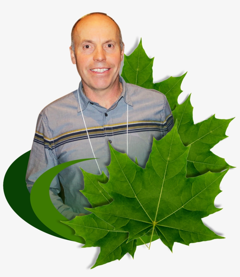 A Message From Allan Arthur, Our President - Maple Leaf, transparent png #2647852