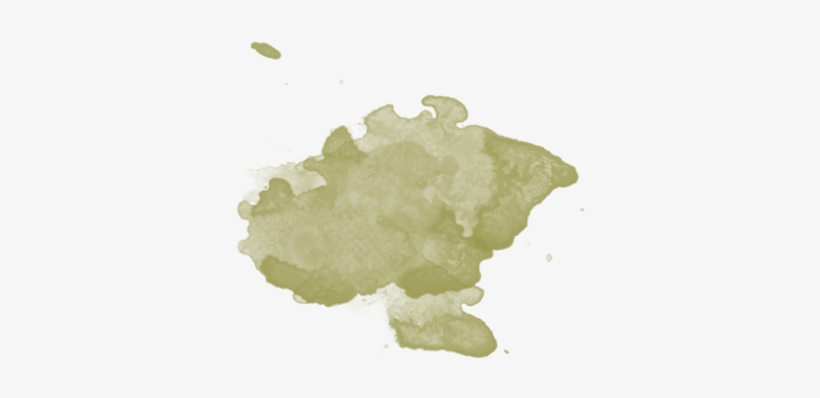 Nuestras Marcas - Maple Leaf, transparent png #2648204