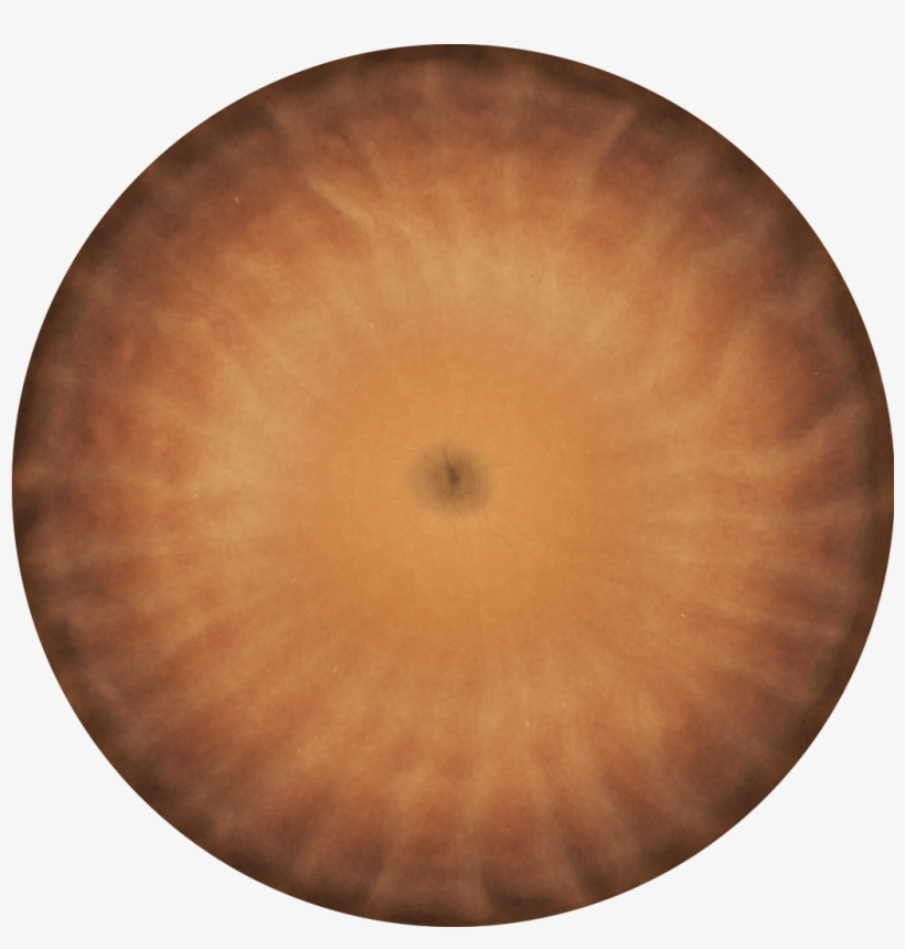 Crater - Transparent Crater, transparent png #2648430