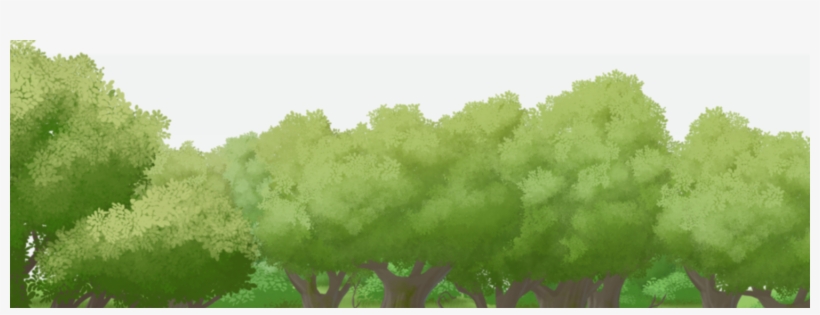 What's Mebula - Tree, transparent png #2648762