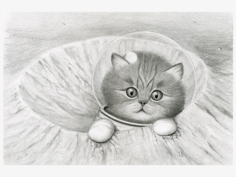 Crater Cat, transparent png #2648830