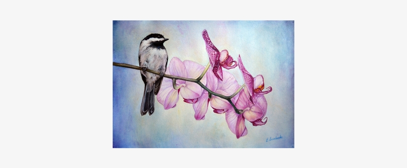 The Bird With Orchids - Northern Grey Shrike, transparent png #2649078