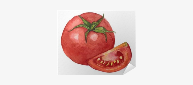 Tomate Gezeichnet, transparent png #2649816