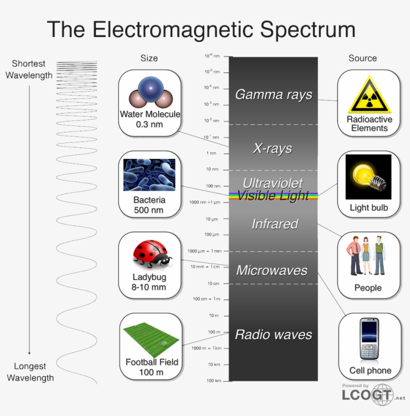 The Smallest Electromagnetic Waves, With Wavelengths - Electromagnetic Spectrum, transparent png #2649995