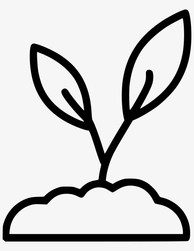Planting Clipart Sprout - Sprouting, transparent png #2650608