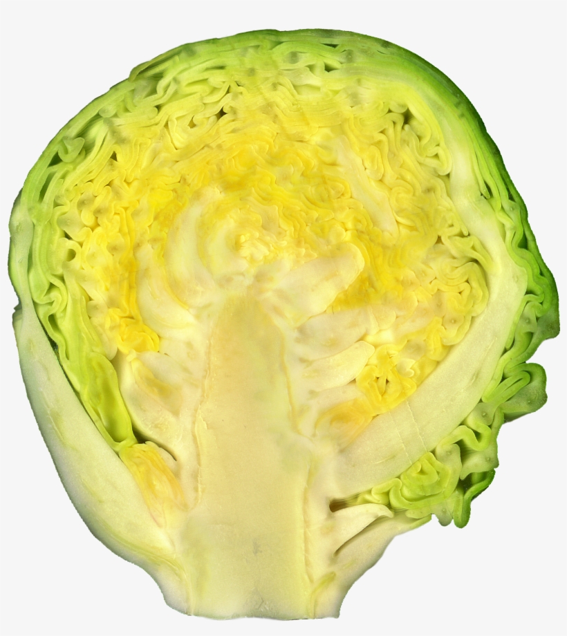 Brussel Sprout - Капуста В Разрезе, transparent png #2650630