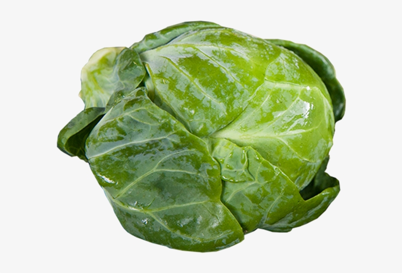 Brussels Sprouts - Brussels Sprout, transparent png #2650675