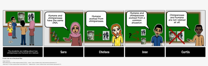 Discussion Storyboard - Hs - Evolution - Cartoon, transparent png #2650963
