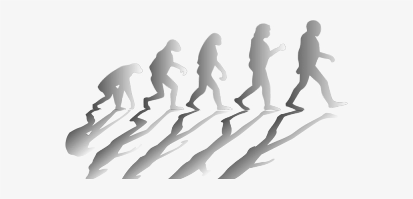 The Ability To Walk Upright On Two Feet Required Millions - Extra Sensory Deception: Book One: Primordial Dreams, transparent png #2650982