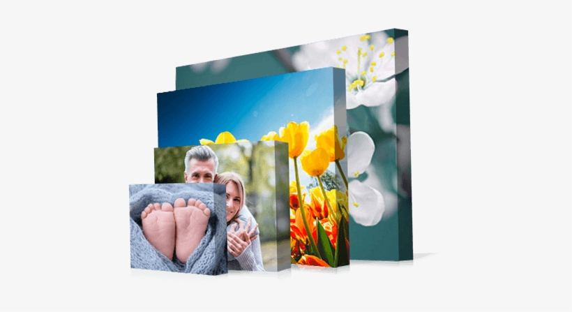 Instagram Canvas Prints - Canvas Prints Png, transparent png #2651242