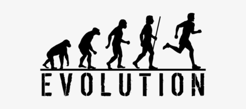 Evolution Of Man And Running - Evolution Of Man Png, transparent png #2651262