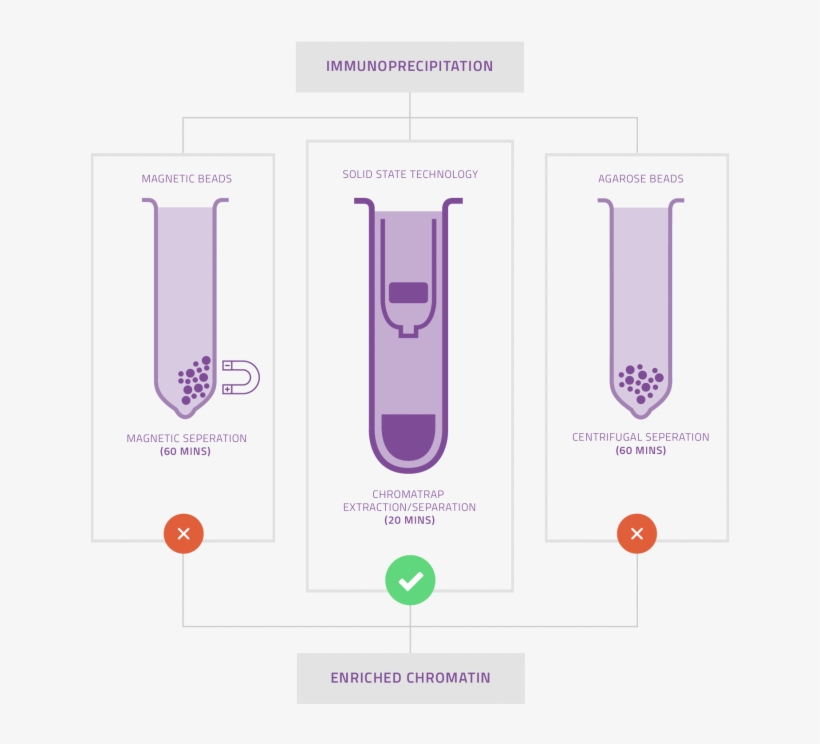 How Does Chromatrap Perform In The Laboratory - Diagram, transparent png #2651523