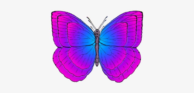Cartoon Butterflies, transparent png #2651768