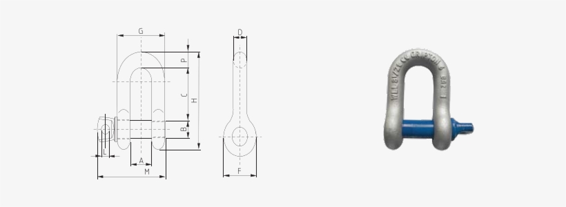 Screw Pin D Shackle - Screw Pin Dee Shackle, transparent png #2651980