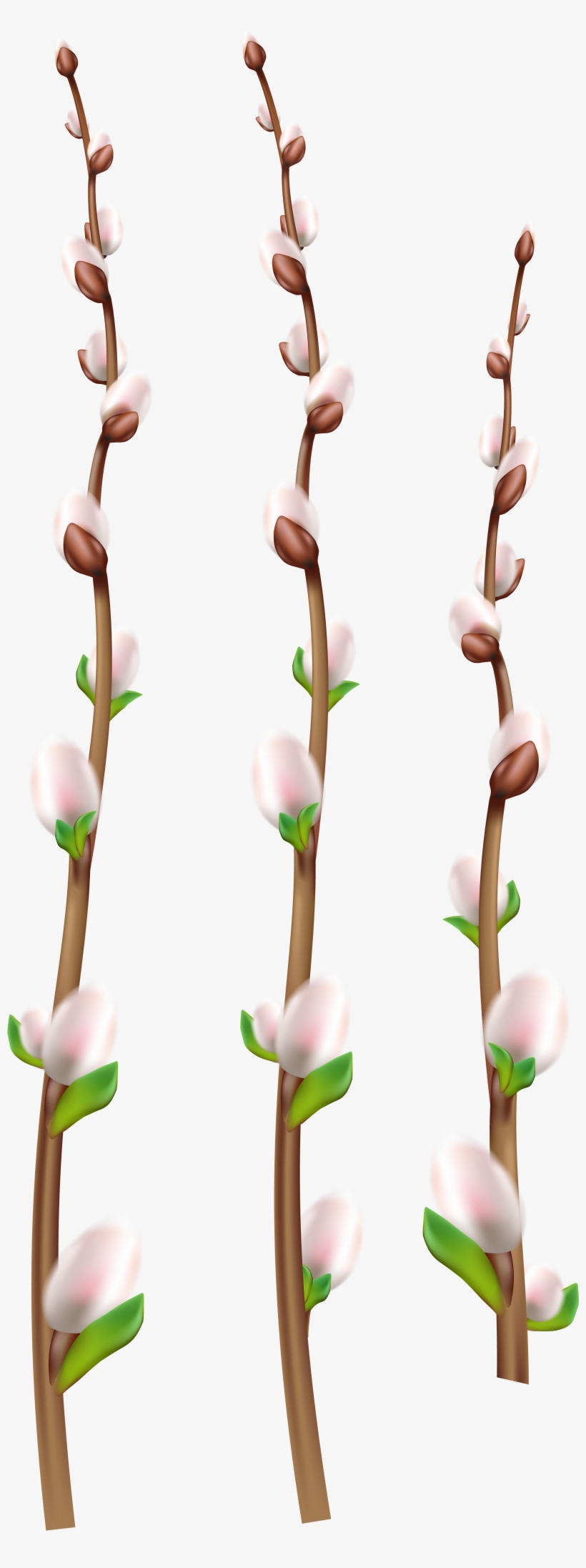 Portable Network Graphics, transparent png #2654388