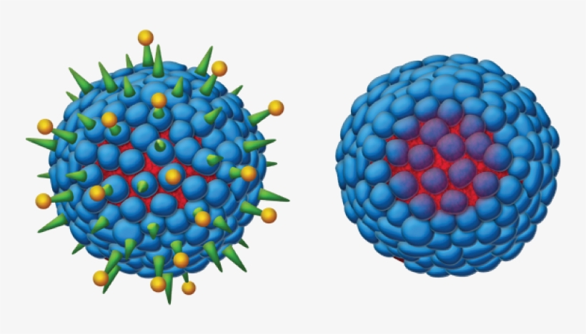 Second-generation Hepatitis B Vaccine - Hepatitis B Virus Png, transparent png #2654579
