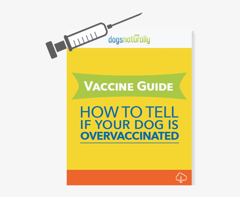 Controversial Free Report Reveals - Kennel Cough Vaccination, transparent png #2654690