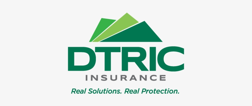Dtric Insurance, Ltd - Dtric Insurance Logo, transparent png #2654994