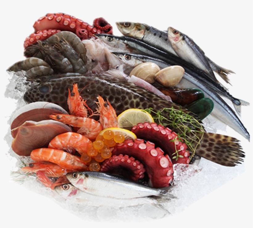 Sea Food Images Png, transparent png #2655427