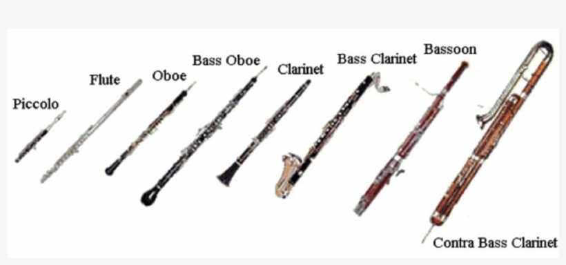 Transparent Flute Orchestra - Symphony Orchestra Woodwind Instruments, transparent png #2655479