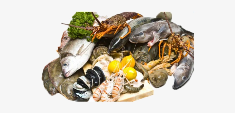 5 Fish Seafoods Skin1 - Sea Foods Png, transparent png #2655519