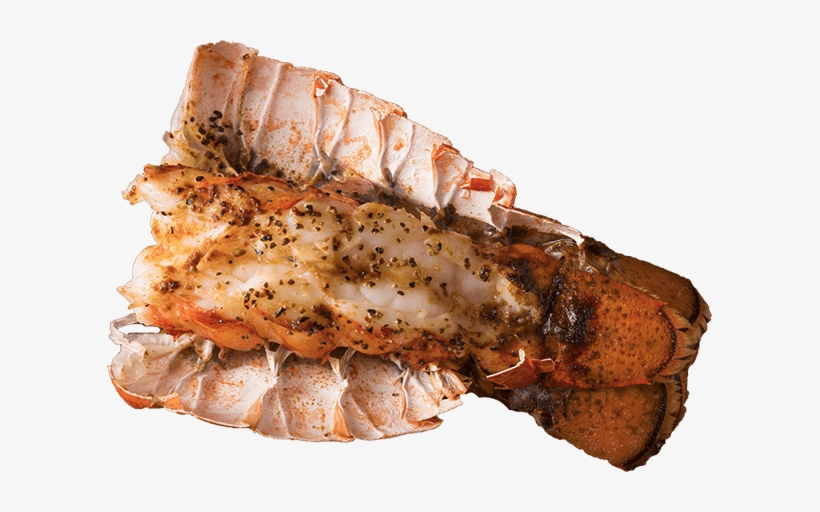 A Company With A - Lobster, transparent png #2655755