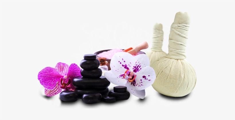 Thai Massage Png, transparent png #2656271