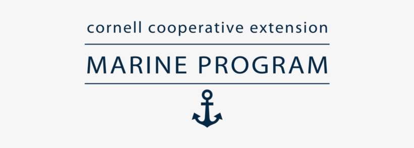 Events - Cornell University, transparent png #2656758