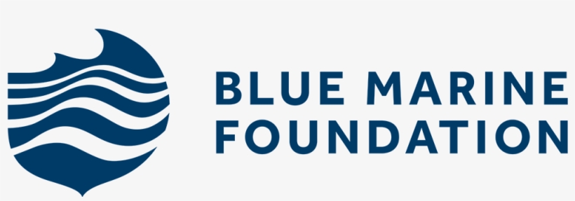 Blue Marine Foundation Colour - Football Federation Australia Logo, transparent png #2656781