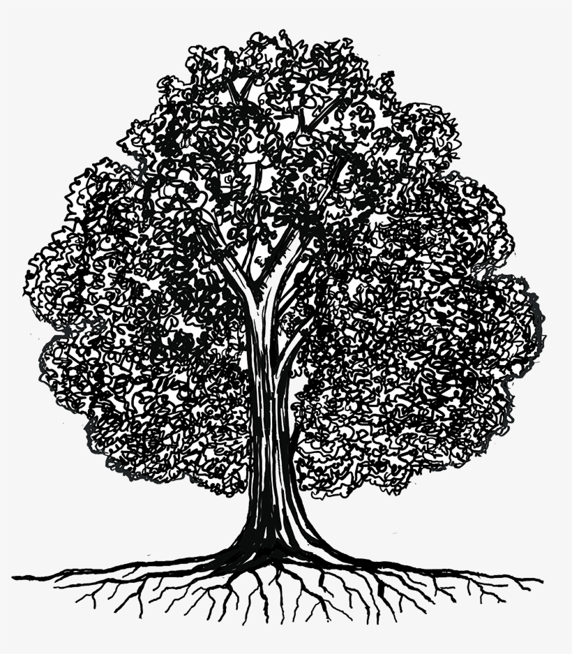 Media Library - Illustration, transparent png #2656881