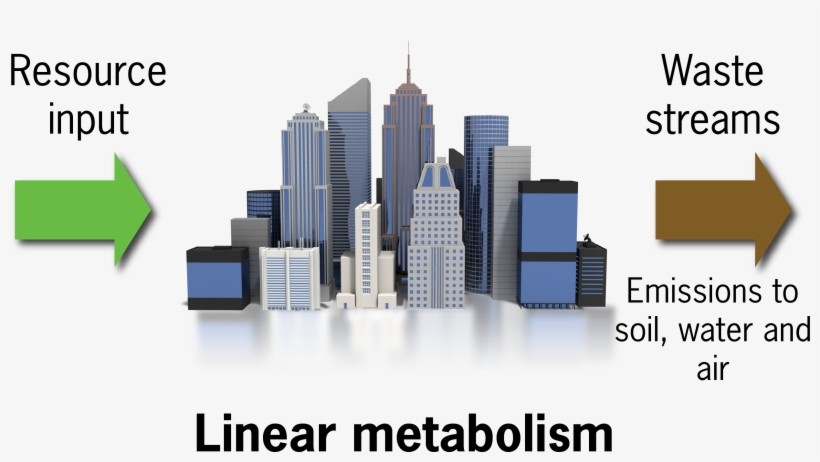 Linear Metabolism - Company Clipart, transparent png #2656945