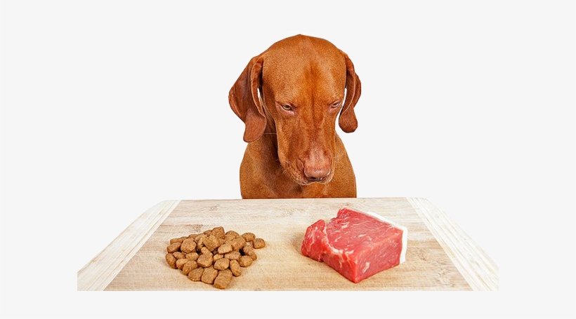 Benefit - Raw Food Diet Dog, transparent png #2657041