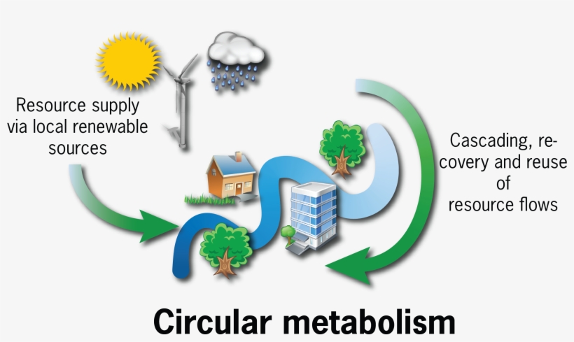 Circular Metabolism - Linear To Circular Urban Metabolism, transparent png #2657136