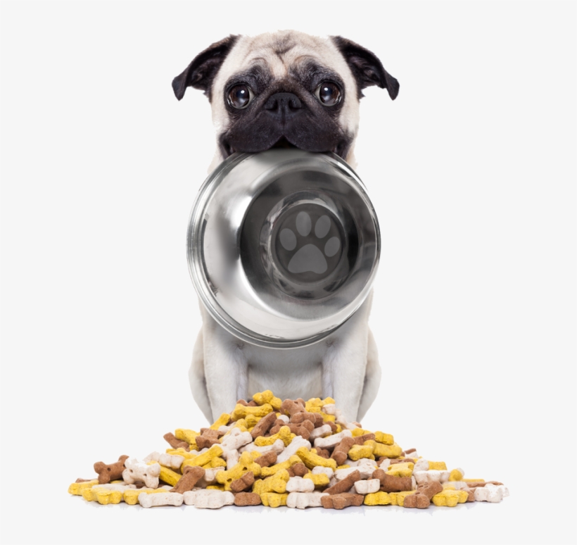 Largest Selection Of Pet Food - Bad To The Bone By Linda O Johnston, transparent png #2657688