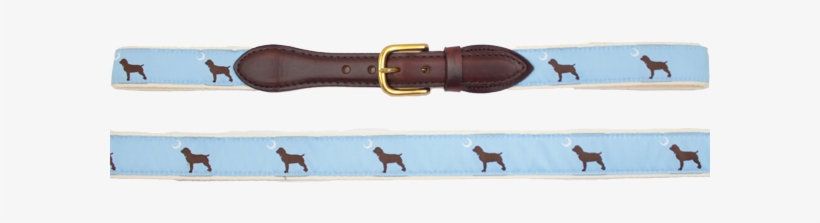 Sale - Boykin Spaniel, transparent png #2658377