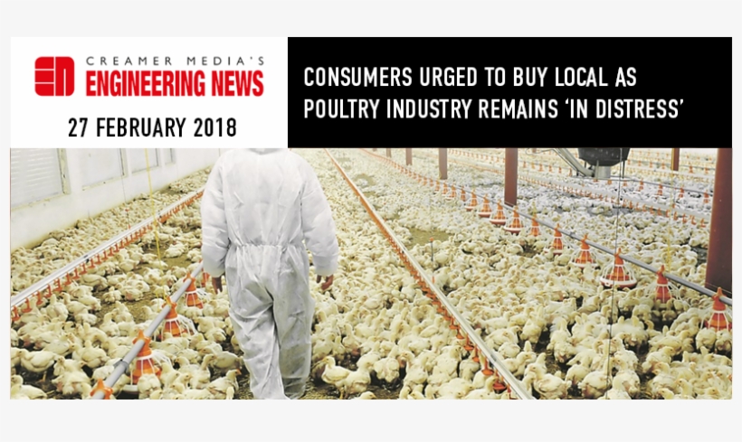Consumers Urged To Buy Local As Poultry Industry Remains - Industrial Poultry Farming Nigeria, transparent png #2658378