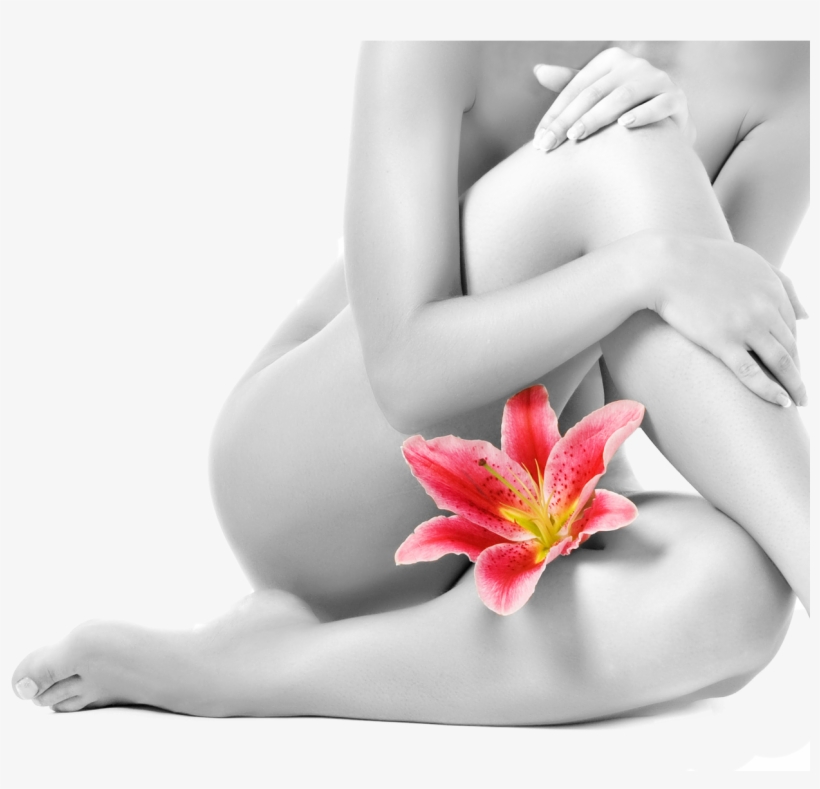 Brazilian Wax Santa Rosa Waxing - Body Waxing, transparent png #2658516