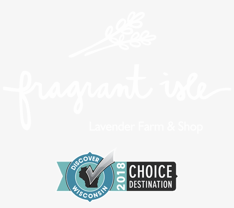 Follow Us On Instagram, transparent png #2658779