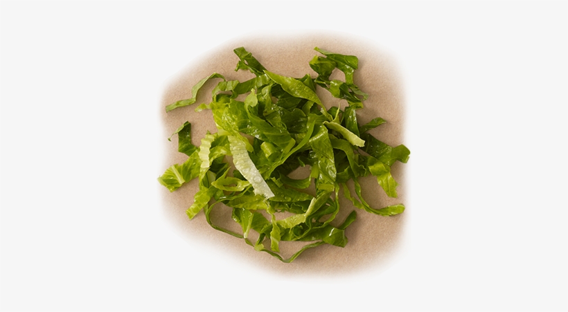 Romaine Lettuce - Romaine Lettuce Chipotle, transparent png #2659707