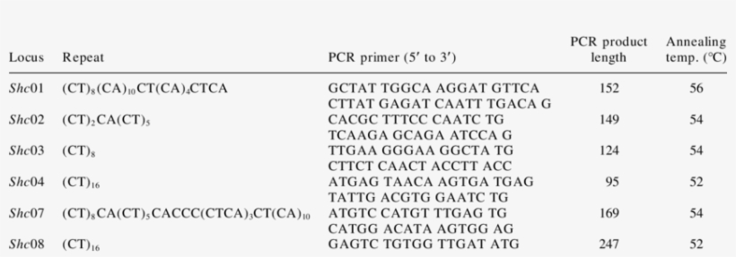 Ssr Loci In Shorea Curtisii, Forward And Reverse Primer - Primer, transparent png #2663594