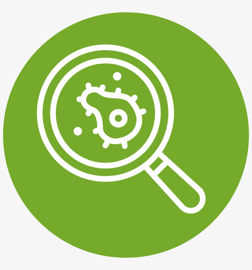 Send Toxic Backlinks To The Google Disavow Tool - Circle, transparent png #2663680