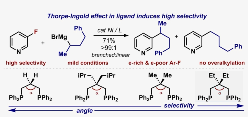 Thorpe Ingold Effect For Branch Selective Alkylation - Diagram, transparent png #2663741