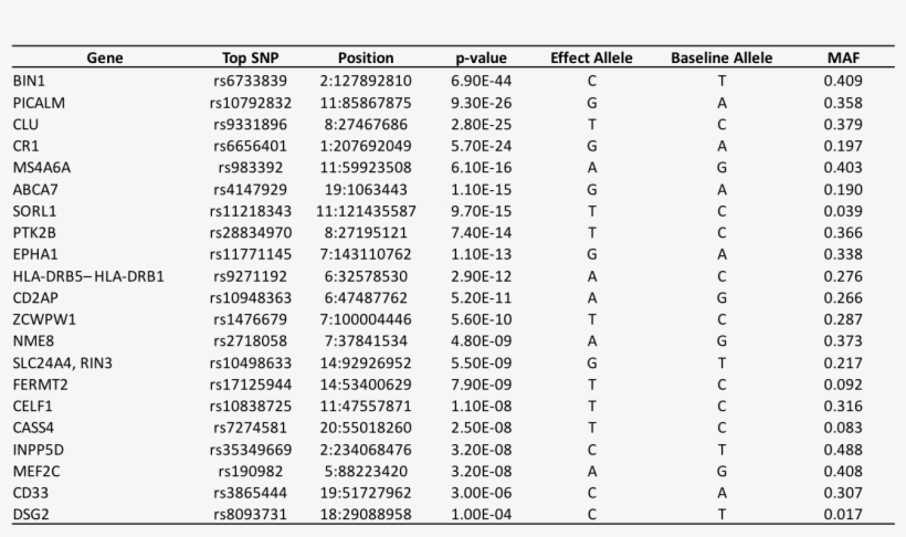 Top Snps And Associated Loci As Reported In Lambert - Document, transparent png #2663877